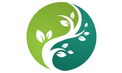 Geleneksel Çin Tıbbı