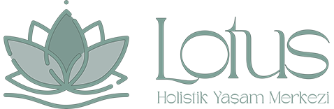 Lotus Meridyen Logo