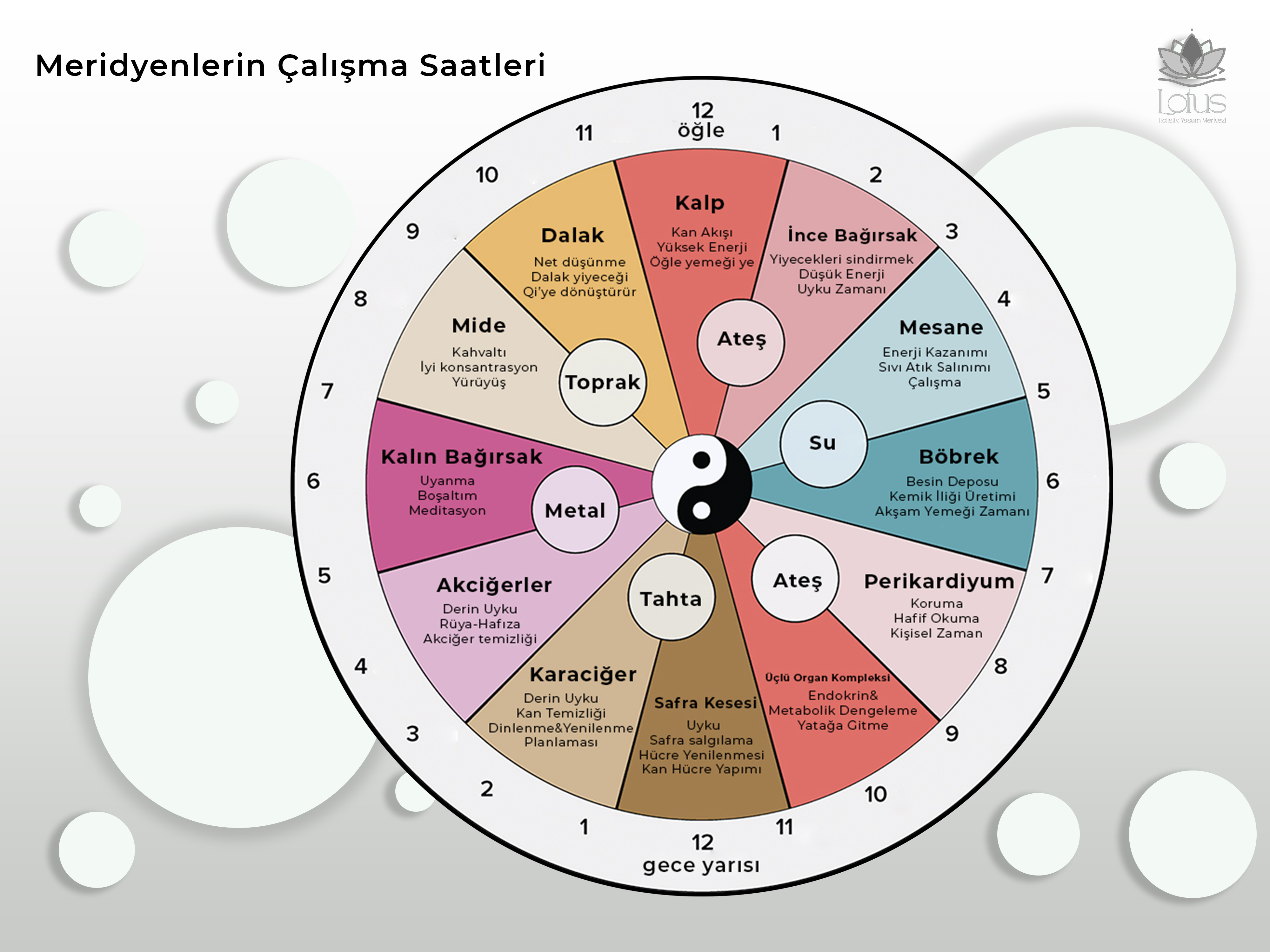 Meridyen Terapi Çalışma Saatleri